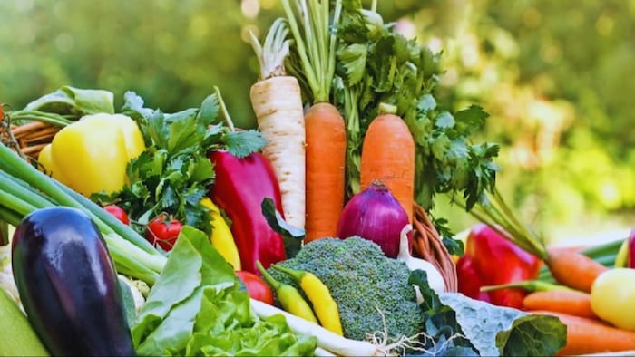 गार्डनिंग टिप्स