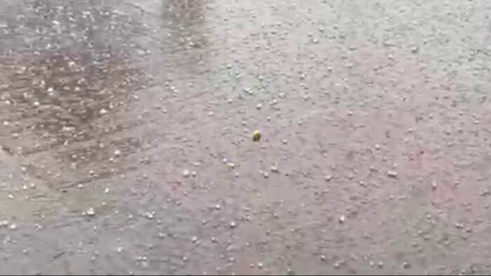 मौसम विभाग के अनुसार प्रदेश में रविवार को 7.5 मिमी बरसात दर्ज की गई.