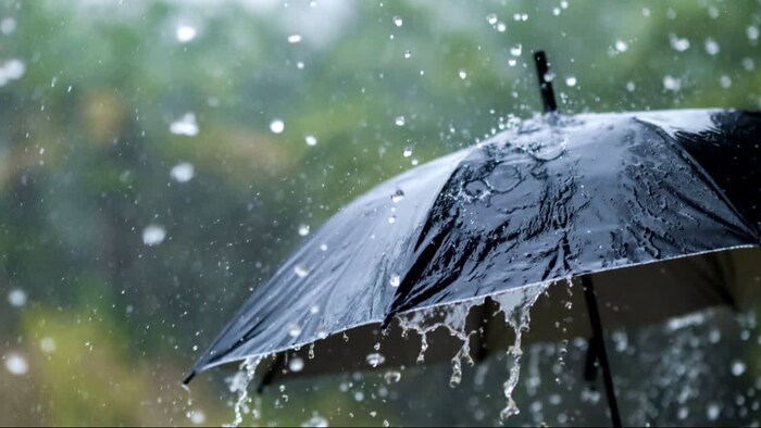 झारखंड में हुई अच्छी बारिश