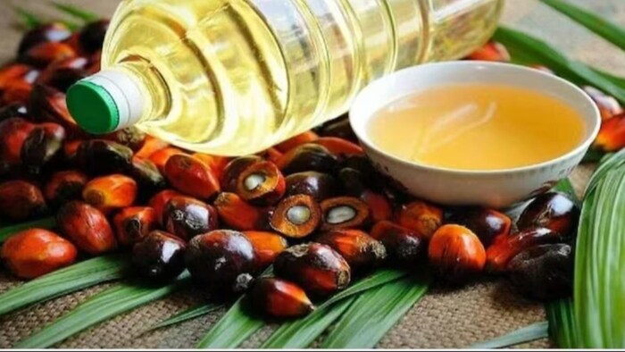 इंडोनेशिया और मलेशिया पाम तेल से बायो डीजल बनाने का काम कर रहे हैं
