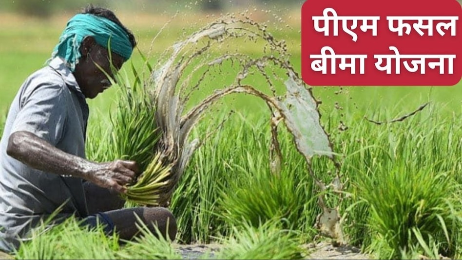 पीएम फसल बीमा के लिए किसानों के रिकॉर्ड आवेदन, 2023-24 में आवेदन संख्या 27 फीसदी उछली - pm fasal bima yojana Record applications from farmers and application number jumped by 27 percent in ...