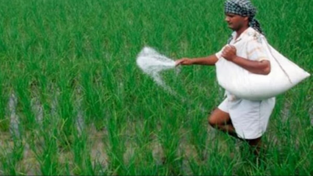 ऐसे करें नकली कीटनाशकों की पहचान, ये सिंपल नियम आपके आएगा काम - This is how to identify fake pesticides this simple rule will help you -