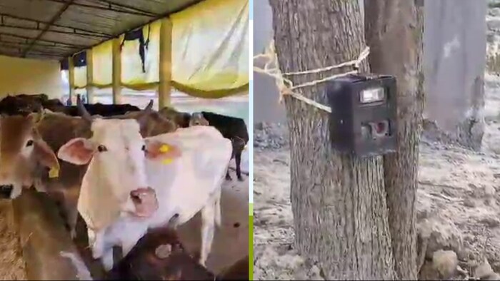 मौके पर कैमरे लगाने के साथ ही निगरानी बढ़ा दी है.