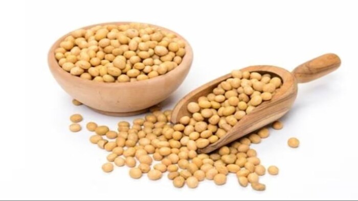 मार्केट में सोयाबीन की सप्लाई भी बढ़ी है. (सांकेतिक फोटो)