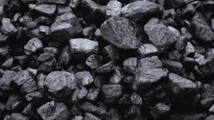 पौधों के लिए लाभकारी है कच्चा कोयला