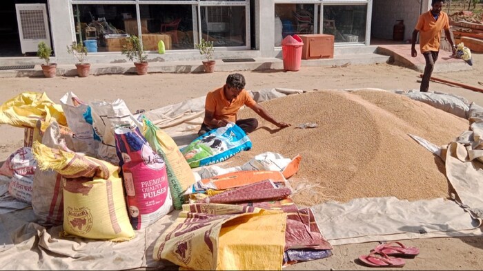 गेहूं बिक्री के लिए रजिस्ट्रेशन की तारीख बढ़ी