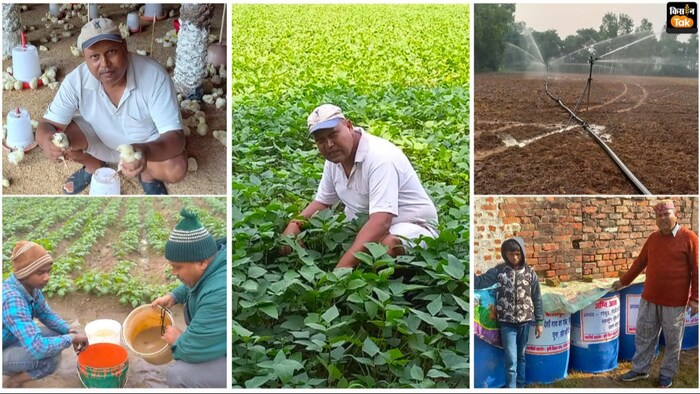 किसान शरद कुमार सिंह मोटे अनाज की खेती भी कर रहे है. (Photo-Kisan Tak)