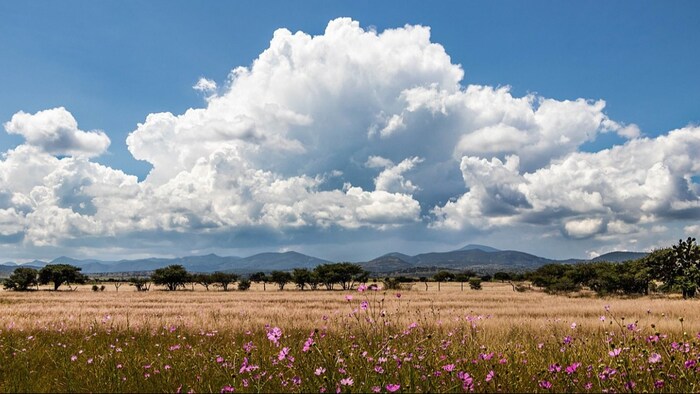 पल-पल तेजी से बदल रहा UP के मौसम का मिजाज