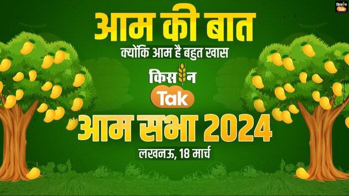 भारत के जिन राज्यों में सबसे ज्यादा आम उत्पादन होता है उनमें उत्तर प्रदेश का एक खास स्थान है.