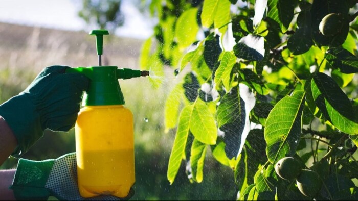 क्या है पर्णीय छिड़काव का महत्व