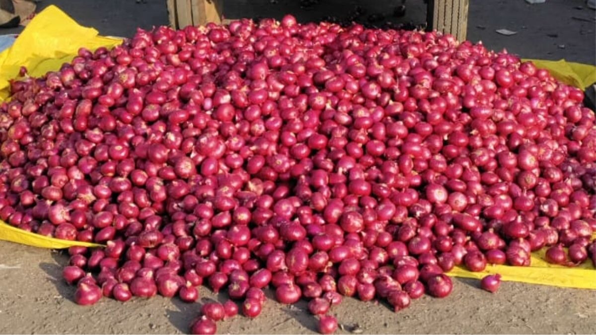 Onion Price: उत्पादन लागत से कम हुआ प्याज का दाम, घाटे में कब तक खेती करेंगे किसान