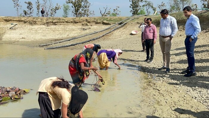 यूपी में मखाना की खेती