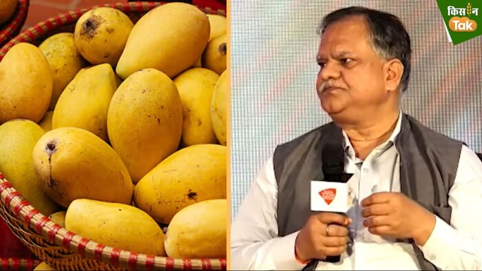 जेवर एयरपोर्ट से विदेश भेजे जाएंगे यूपी के आम और दूसरे फल.