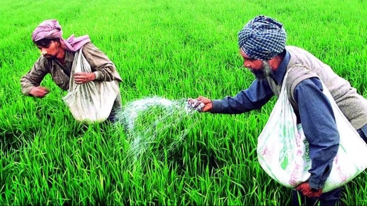 Urea Import : यूरिया की कमी नहीं होगी, केंद्र ने राज्य उर्वरक कंपनियों को यूरिया आयात की अनुमति दी 