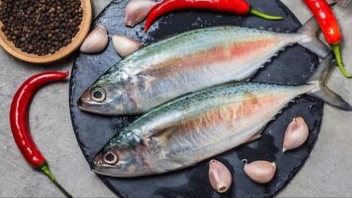 मछली की पहचान