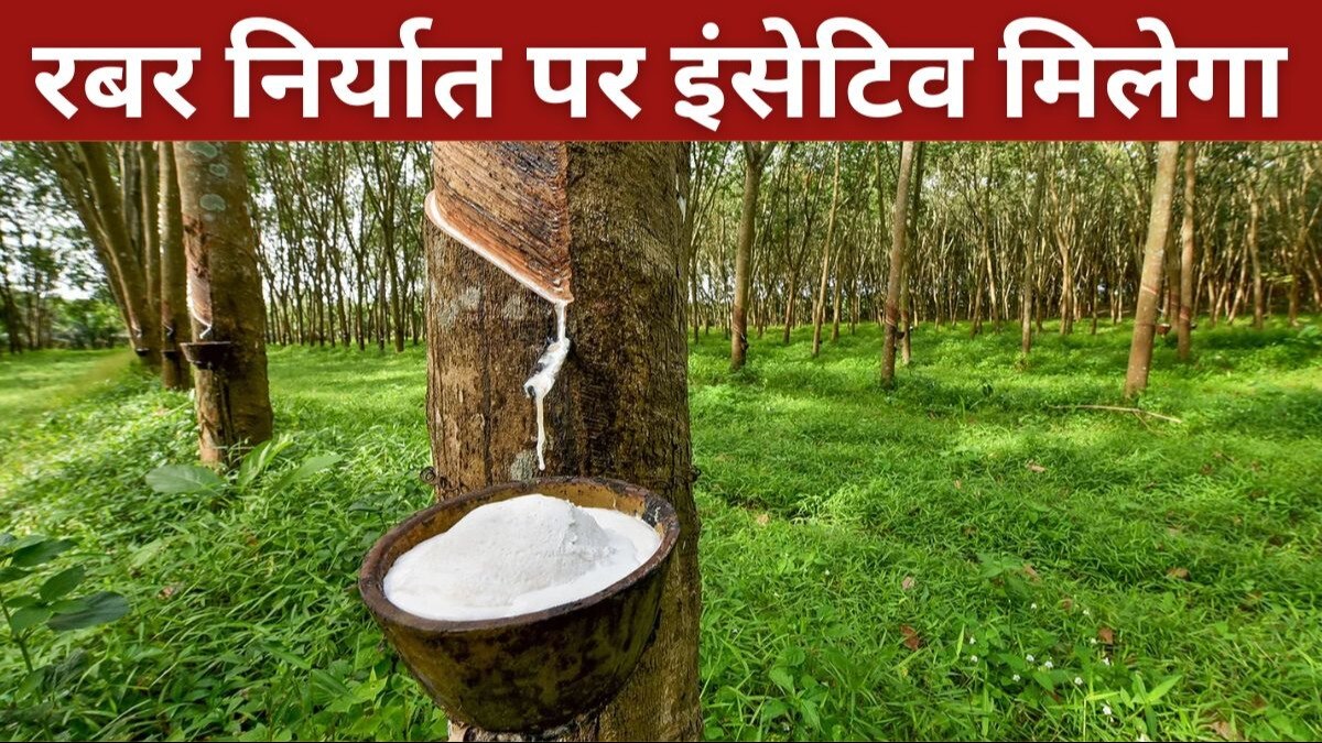 Rubber Farming: रबर उत्पादकों को होली का तोहफा, MSP बढ़ाने के बाद सरकार ने निर्यात पर इंसेटिव देने की घोषणा की 