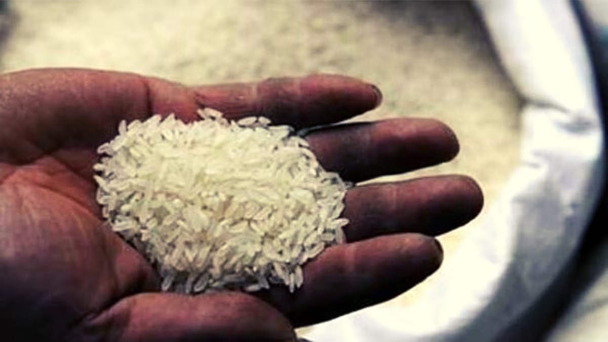 Rice Price: चावल की कीमत में 10 फीसदी की गिरावट, सस्ते भारत ब्रांड राइस ने दाम घटाए, निर्यात बैन ने उपलब्धता बढ़ाई 