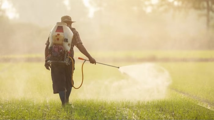 फसलों को बचाने के लिए करें ये उपाय