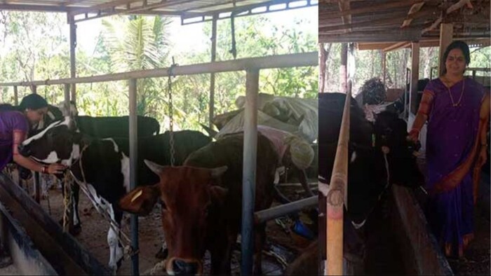 डेयरी सेक्टर में मिसाल बनीं राजेश्वरी