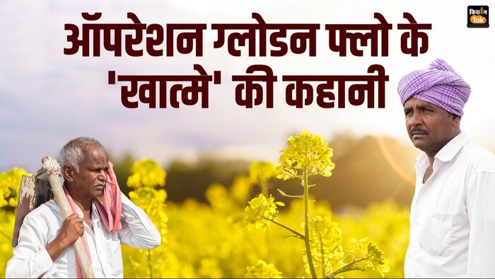 सरसों का तेल पहले भी हुआ बदनाम, कहानी ऑपरेशन ग्लोडन फ्लो की