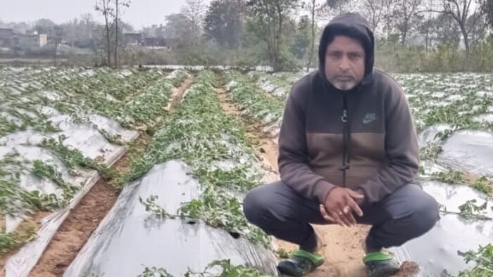 ओरमांझी में ओलावृष्टि से हुआ नुकसान