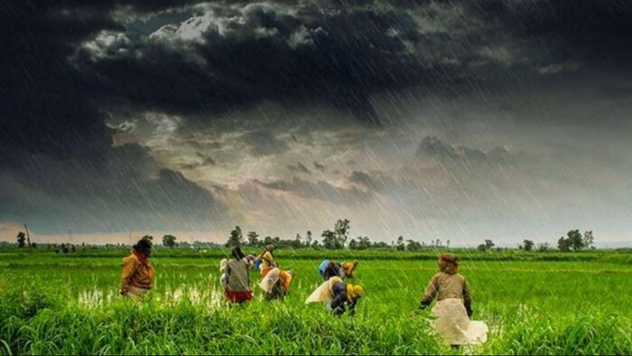 अल नीनो की हो गई विदाई. इस साल होगी जबरदस्त बारिश. (सांकेतिक फोटो)