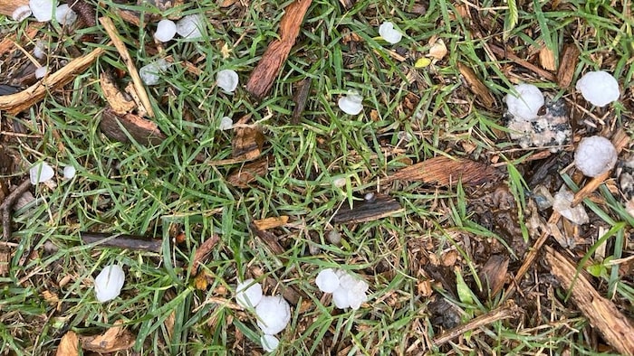 रांची में गिरे ओले