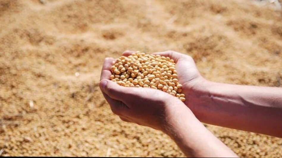 Certified seeds: प्रमाणित बीज की खरीद पर किसानों को मिलेगी 50 फीसदी की सीधी छूट, नई व्यवस्था लागू Certified seeds: प्रमाणित बीज की खरीद पर किसानों को मिलेगी 50 फीसदी की सीधी छूट, नई व्यवस्था लागू