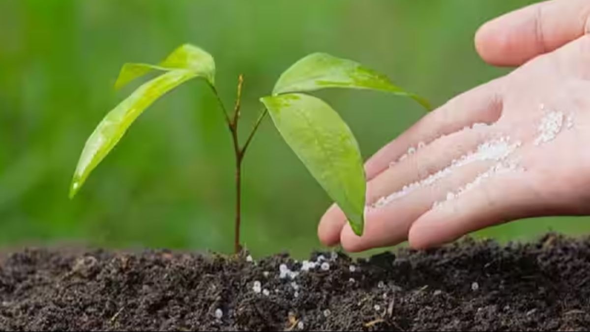 जानिए खादों की ओवरडोज के बारे में