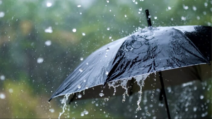 पश्चिमी विक्षोभ सक्रिय होने के कारण मौसम में बदलाव देखने को मिलेगा