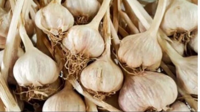 लहसुन का मंडी भाव