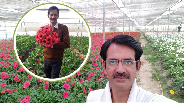 अपने पॉलीहाउस में फूलों की खेती करते किसान खिलेश चौधरी.