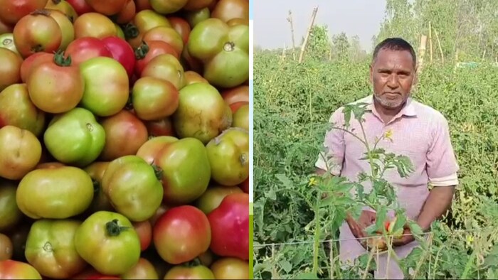 रायबरेली के शिवगढ़ थाना क्षेत्र के चितवानिया गांव के प्रगतिशील किसान बबलू कुमार (Photo-Kisan Tak)