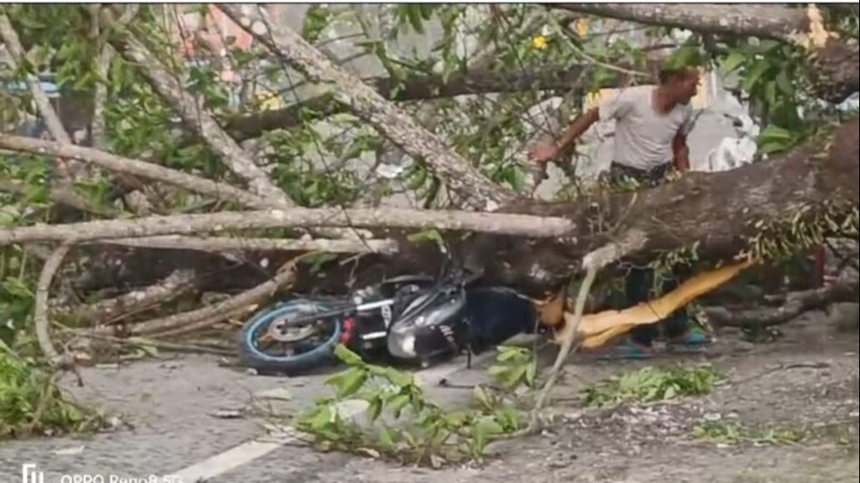 Cyclone: जलपाईगुड़ी में चक्रवाती तूफान से 5 लोगों की मौत, 300 से ज्यादा जख्मी Cyclone: जलपाईगुड़ी में चक्रवाती तूफान से 5 लोगों की मौत, 300 से ज्यादा जख्मी