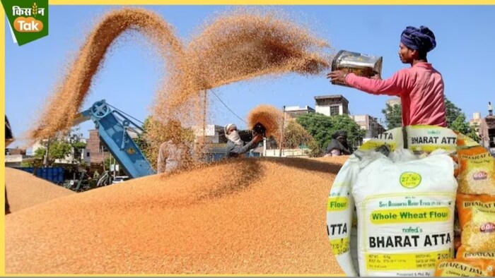 चीन के बाद भारत दुनिया का सबसे बड़ा गेहूं उपभोक्ता और उत्पादक है.