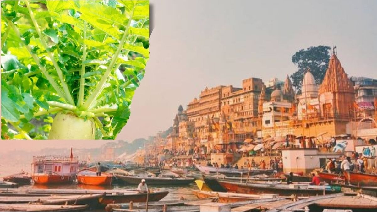 काशी से जुड़ा है सब्जी का नाम