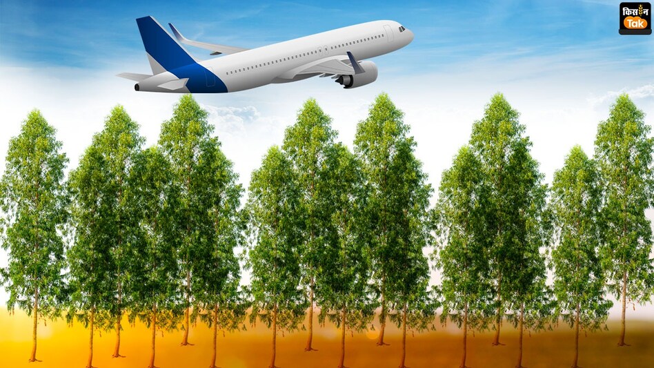 Jewar airport: पहले 600 पेड़ कटेंगे तब जाकर जेवर एयरपोर्ट से प्लेन उड़ान भरेंगे Jewar airport: पहले 600 पेड़ कटेंगे तब जाकर जेवर एयरपोर्ट से प्लेन उड़ान भरेंगे