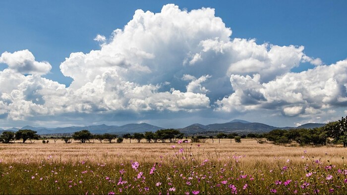 यूपी में अब धीरे-धीरे गर्मी बढ़ती जा रही है.
