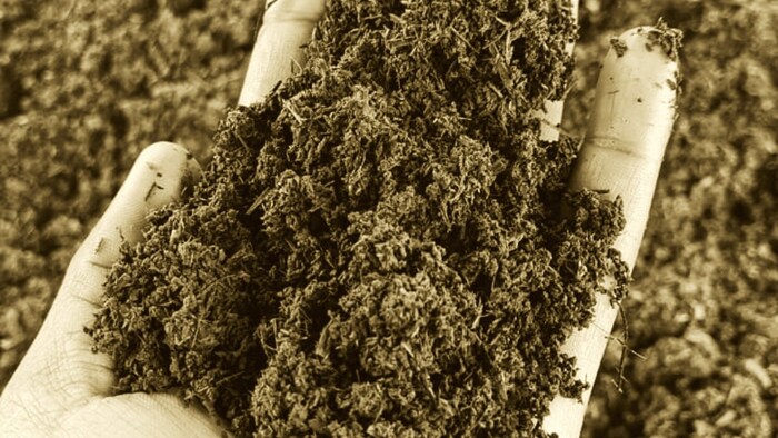 जैविक खेती को बढ़ा रहे किसान.