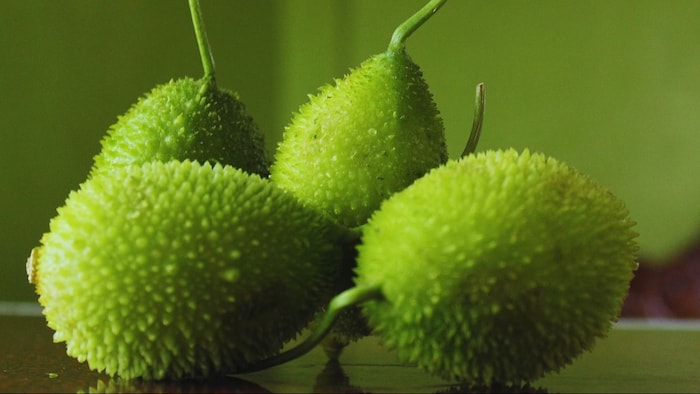 ककोरा की सब्जी