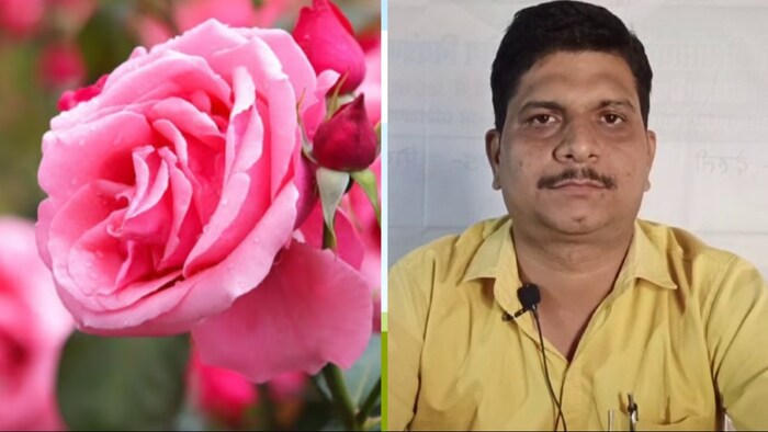 दिलीप कुमार सोनी बताते हैं कि गुलाब के फूल की मांग हमेशा बनी रहती है. (Photo-Kisan Tak)