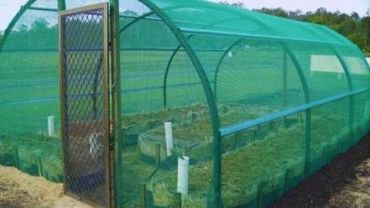 अब पूरे साल कर सकते हैं सब्जी की खेती, BAU ने बनाया मौसम के हिसाब से काम करनेवाला पॉलीहाउस