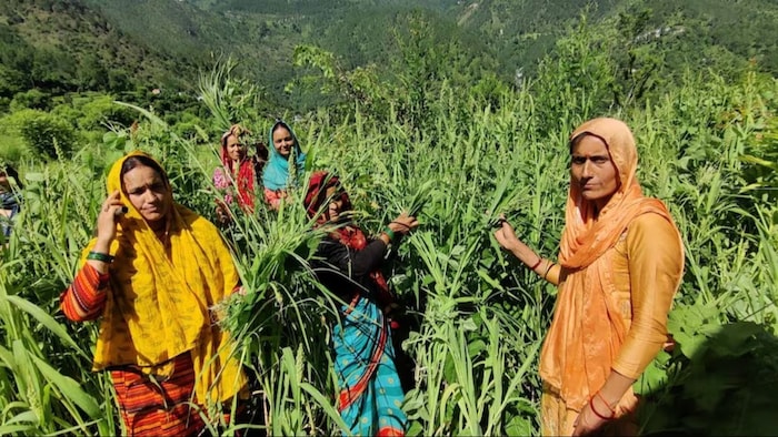 ग्रामीण क्षेत्र की महिला उद्यमियों के लिए डिजिटल बैंकिंग यूनिट बनेंगी.