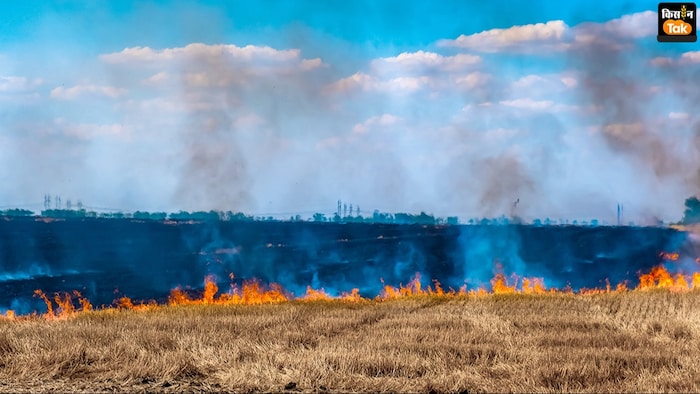 गेहूं की पराली जलाने पर लगा प्रतिबंध.