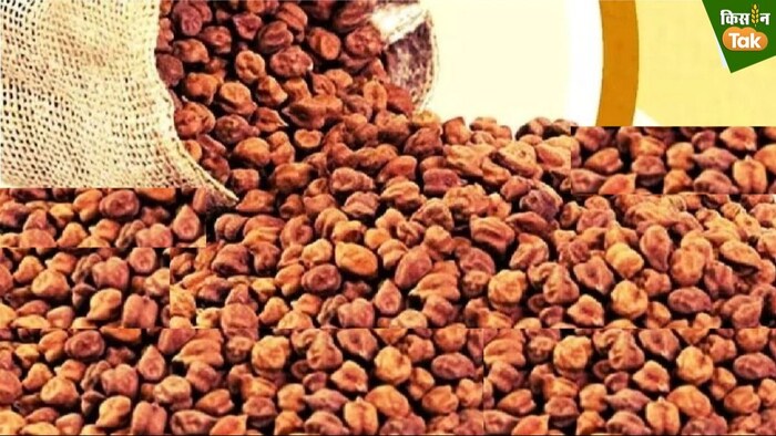 भारत ब्रांड चना दाल सप्लाई के लिए केंद्र को चना की जरूरत है.