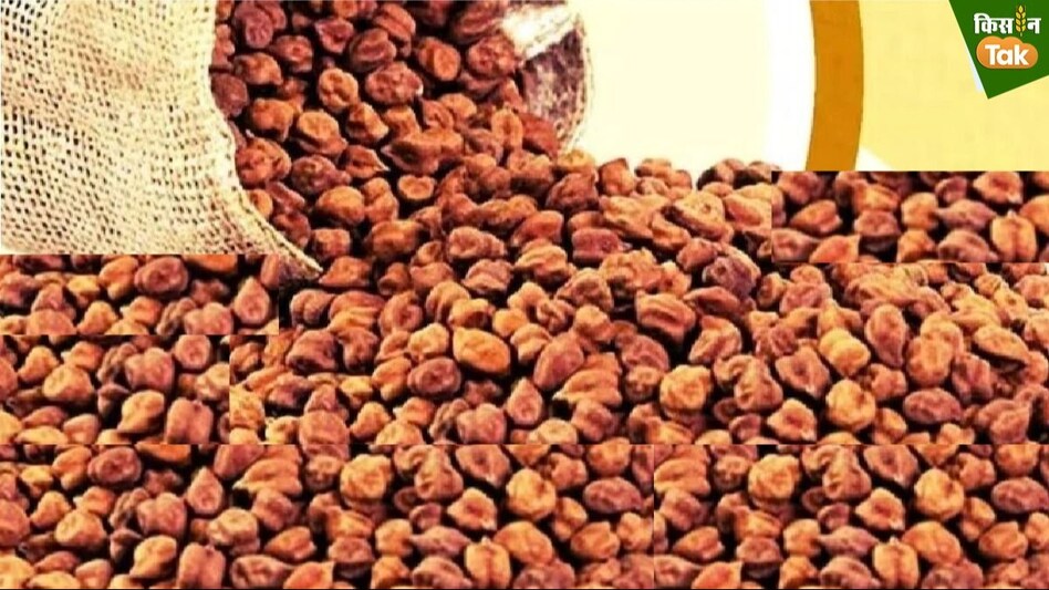 Chana Procurement: सरकार MSP से अधिक दाम पर चना की खरीद करेगी, बिक्री के लिए तैयार रहें चना किसान  Chana Procurement: सरकार MSP से अधिक दाम पर चना की खरीद करेगी, बिक्री के लिए तैयार रहें चना किसान