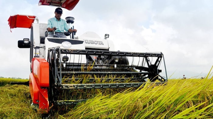 गेहूं की कटाई के लिए करें इन कृषि यंत्रों का इस्तेमाल