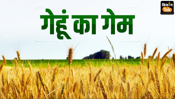 गेहूं का कितना है दाम.