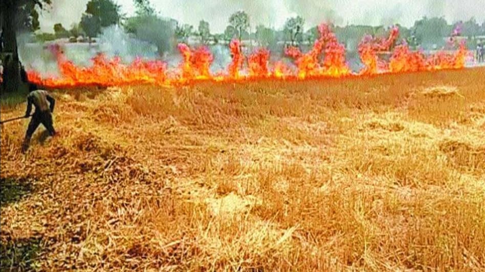 Crop burns compensation: आग से फसल जलने पर किसानों को मिलेगा मुआवजा, जानिए कैसे करें आवेदन Crop burns compensation: आग से फसल जलने पर किसानों को मिलेगा मुआवजा, जानिए कैसे करें आवेदन