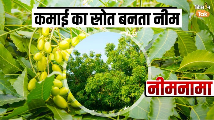 नमी की खेती से लाभ